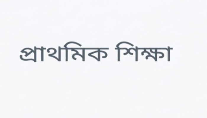 প্রত্যন্ত গ্রামের প্রাথমিক বিদ্যালয়ে মানসম্মত শিক্ষা নিশ্চিতে কার্যকর পদক্ষেপ জরুরি