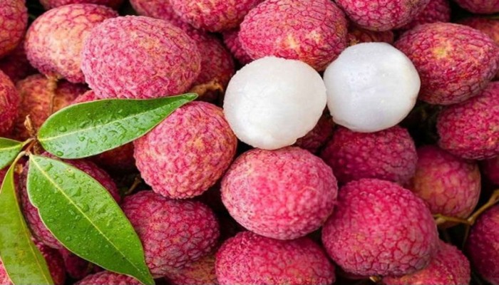 গ্রীষ্মের সুস্বাদু ফল লিচু: জানুন পুষ্টিগুণ ও স্বাস্থ্য উপকারিতা