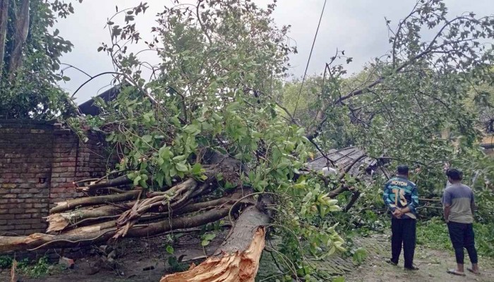 দিনাজপুরে ঝড়ে গাছের ডাল ভেঙে নারীর মৃত্যু