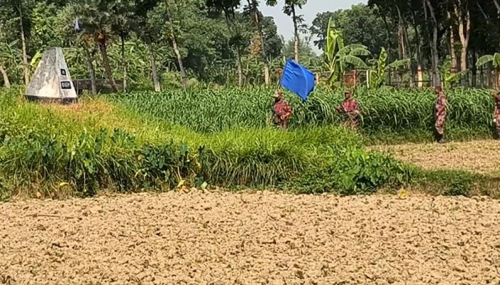 দর্শনা সীমান্তে ১১ জনকে পুশইনের চেষ্টা, বিজিবির তৎপরতায় ব্যর্থ বিএসএফ