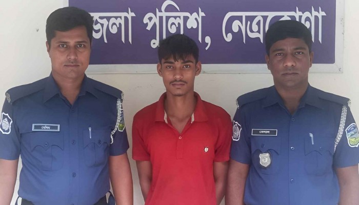 নেত্রকোনায় ট্রান্সফরমার চুরির সময় যুবক গ্রেফতার, পিকআপ জব্দ