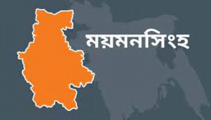 ময়মনসিংহে মাকে ধর্ষণের প্রতিশোধ: যুবককে গলা কেটে হত্যা করলেন চার ভাই