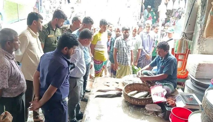 চিংড়িতে জেলি পুশ করে ওজন বাড়ানোর অভিযোগে আড়তদারকে ৫০ হাজার টাকা জরিমানা