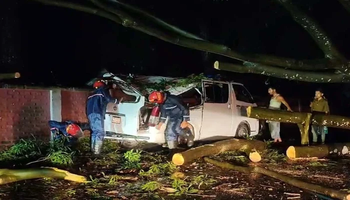 অতিবৃষ্টিতে অ্যাম্বুলেন্সের ওপর ভেঙে পড়ল গাছ, ২ ঘণ্টা বন্ধ সড়ক যোগাযোগ