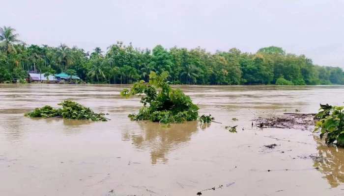 ভারী বৃষ্টিতে আরও পাঁচ জেলায় বন্যার শঙ্কা