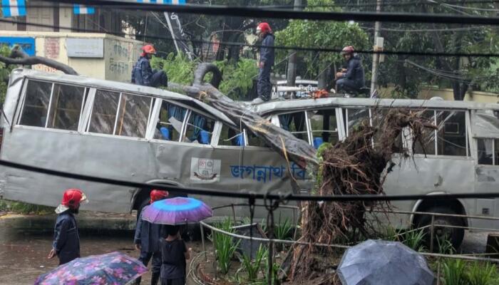 জবি ক্যাম্পাসে বাসের ওপর উপড়ে পড়ল বিশাল গাছ, অল্পের জন্য রক্ষা পেল শিক্ষার্থীরা