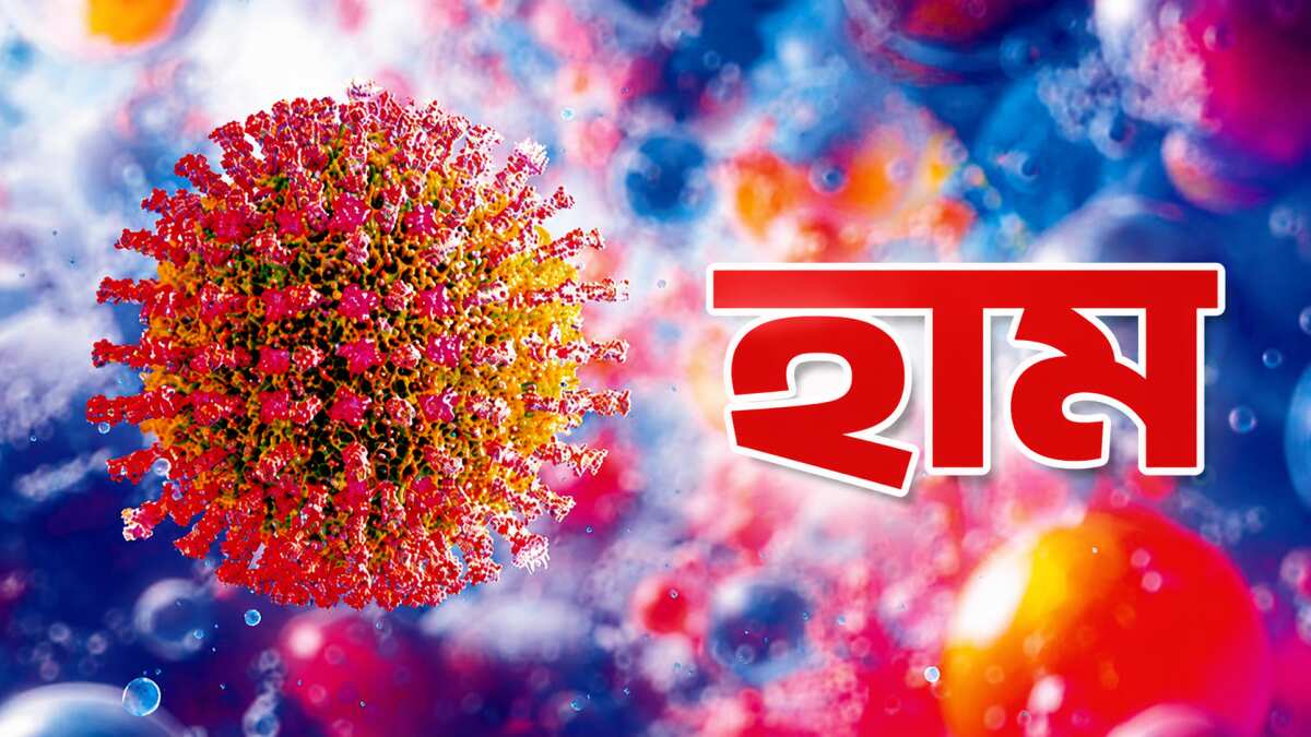 হামের উপসর্গে আরও ৩ শিশুর মৃত্যু, একদিনে শনাক্ত ১,০৭৫ রোগী