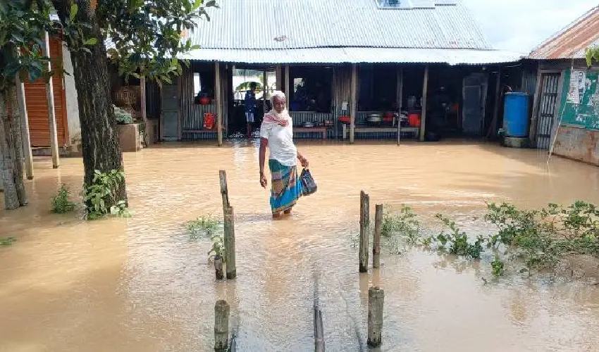 ভারতের পাহাড়ি ঢলে আখাউড়ায় ২৫০ হেক্টর আমন ধানক্ষেত প্লাবিত