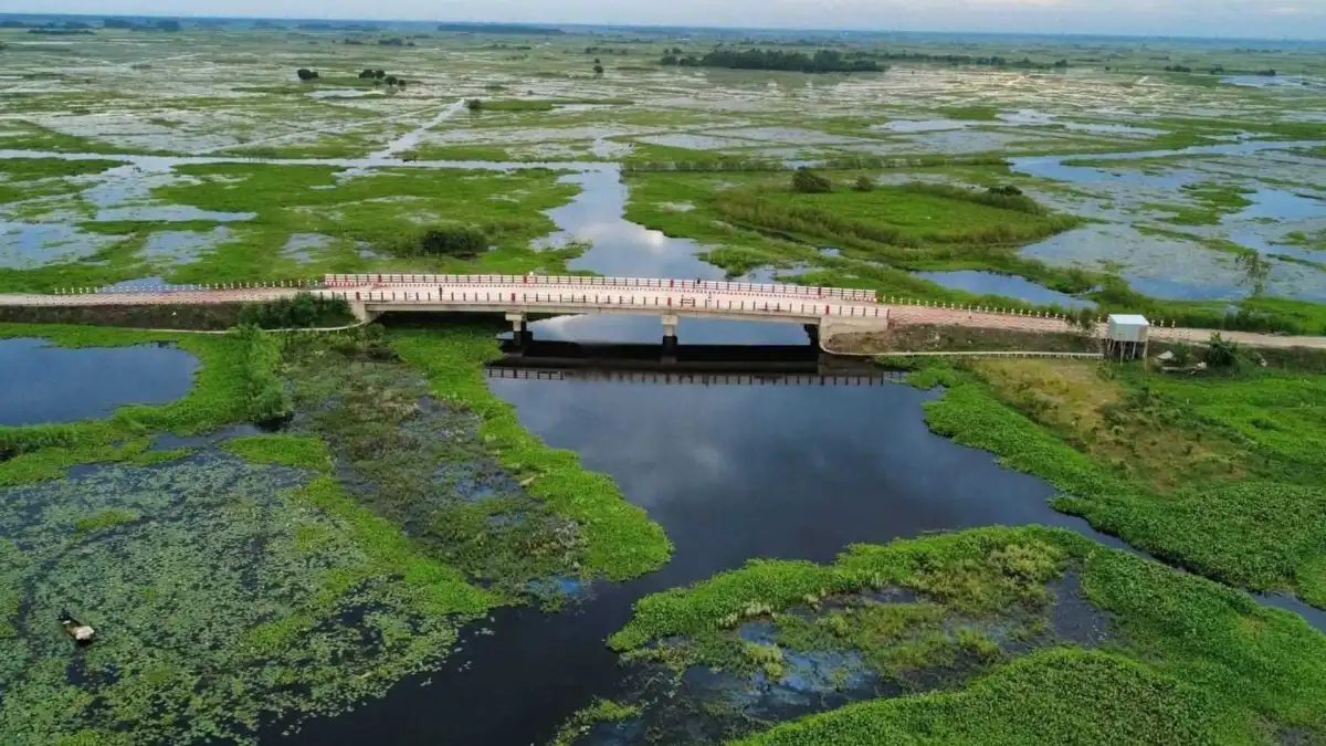 আড়িয়ল বিলের পাঁচ প্রজাতির মাছে মিলল মাইক্রোপ্লাস্টিক