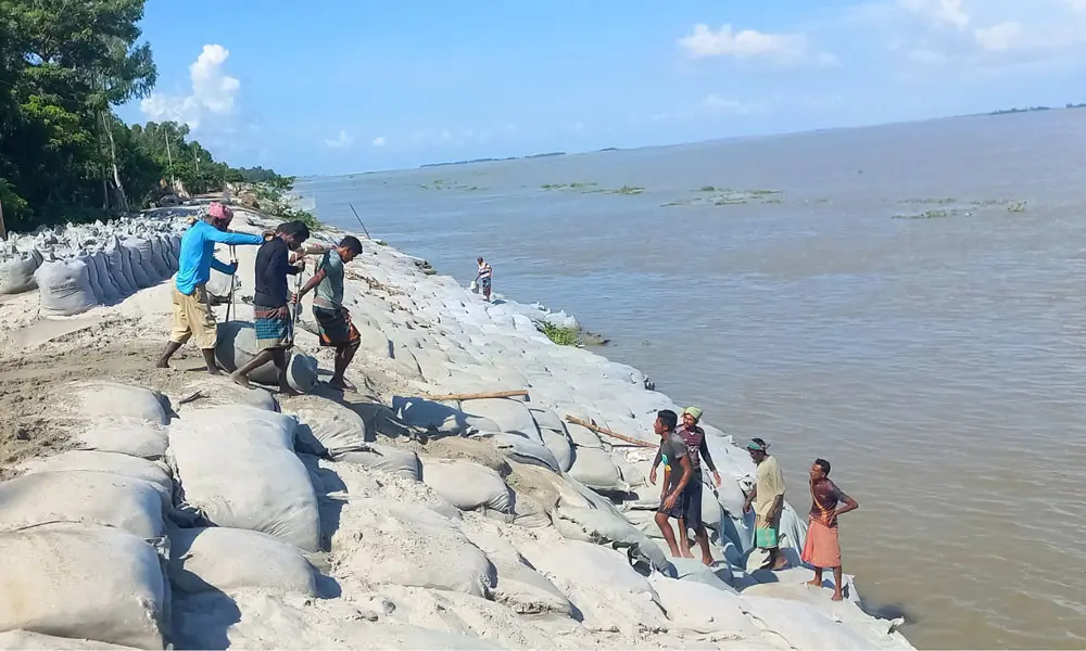 চিলমারীতে ব্রহ্মপুত্রের ভাঙনে ঝুঁকিতে বাঁধ, আতঙ্কে হাজার পরিবার