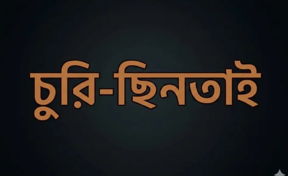 চুরি ছিনতাইয়ের কারণে ক্ষতিগ্রস্ত সাধারণ মানুষ, নিরাপত্তা নিয়ে উদ্বেগ