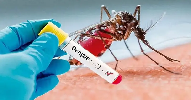 ডেঙ্গুতে আরও ৪ জনের মৃত্যু, হাসপাতালে ভর্তি ১ হাজার ৮৫১