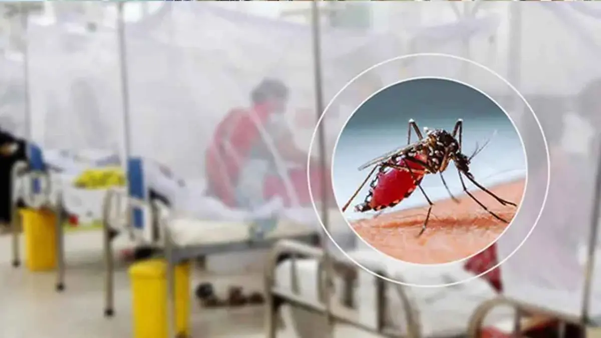 ডেঙ্গুতে একদিনে ৩৪২ রোগী হাসপাতালে ভর্তি, মৃত্যু নেই