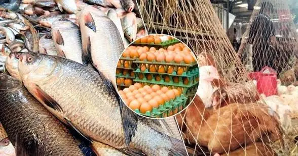 ডিম ও ব্রয়লারের দামে স্বস্তি, চড়া মাছ মাংসের বাজার