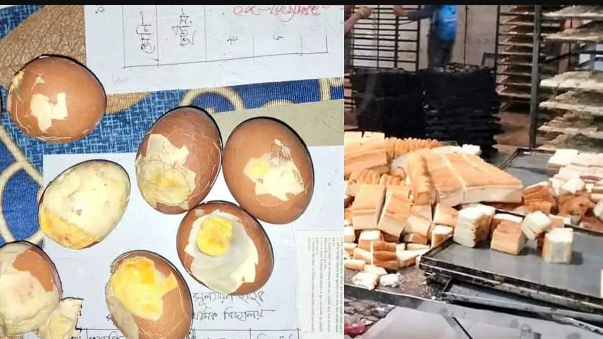 নেত্রকোনার বিদ্যালয়ে স্কুল ফিডিং কর্মসূচিতে পচা ও নিম্নমানের খাবার