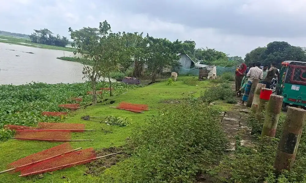 ডেপুটি স্পিকারের লাগানো ৩৫টি গাছের চারা নষ্ট