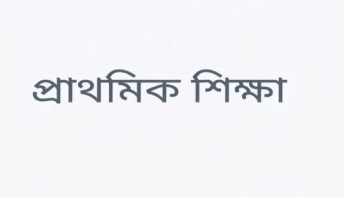 প্রত্যন্ত গ্রামের প্রাথমিক বিদ্যালয়ে মানসম্মত শিক্ষা নিশ্চিতে কার্যকর পদক্ষেপ জরুরি