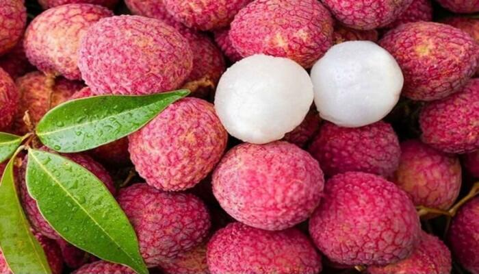 গ্রীষ্মের সুস্বাদু ফল লিচু: জানুন পুষ্টিগুণ ও স্বাস্থ্য উপকারিতা