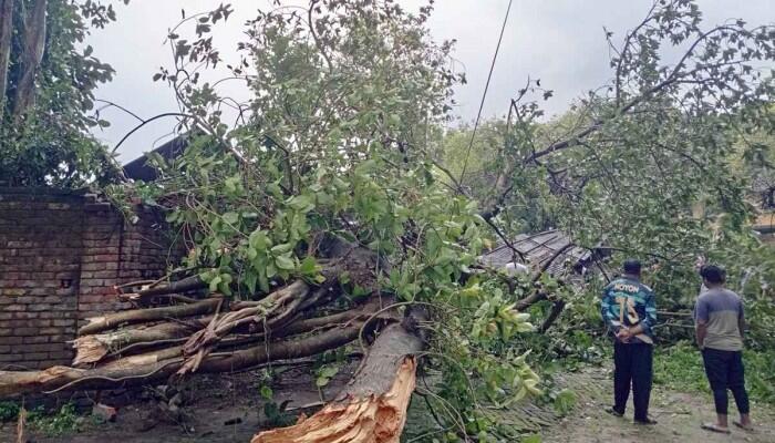 দিনাজপুরে ঝড়ে গাছের ডাল ভেঙে নারীর মৃত্যু