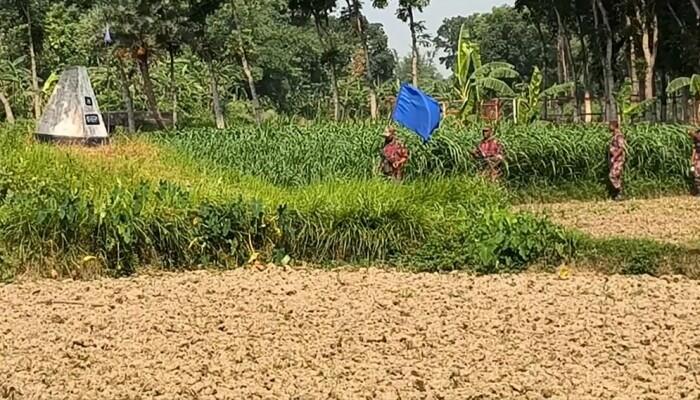 দর্শনা সীমান্তে ১১ জনকে পুশইনের চেষ্টা, বিজিবির তৎপরতায় ব্যর্থ বিএসএফ