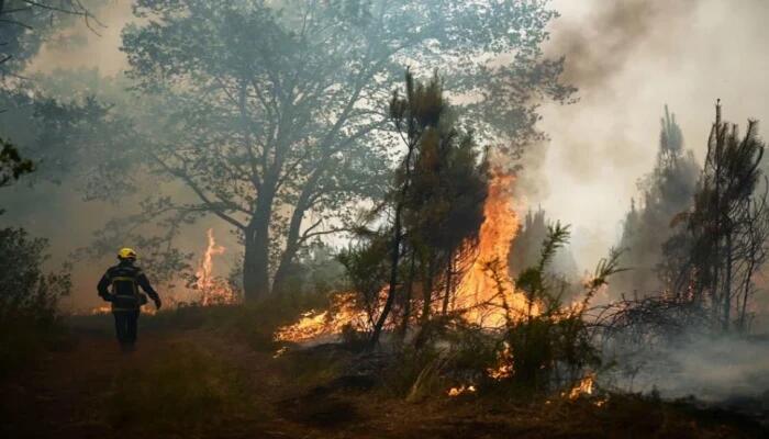 ভয়াবহ দাবানলে বিপর্যস্ত ফ্রান্স, সরানো হলো ১০ হাজার মানুষ