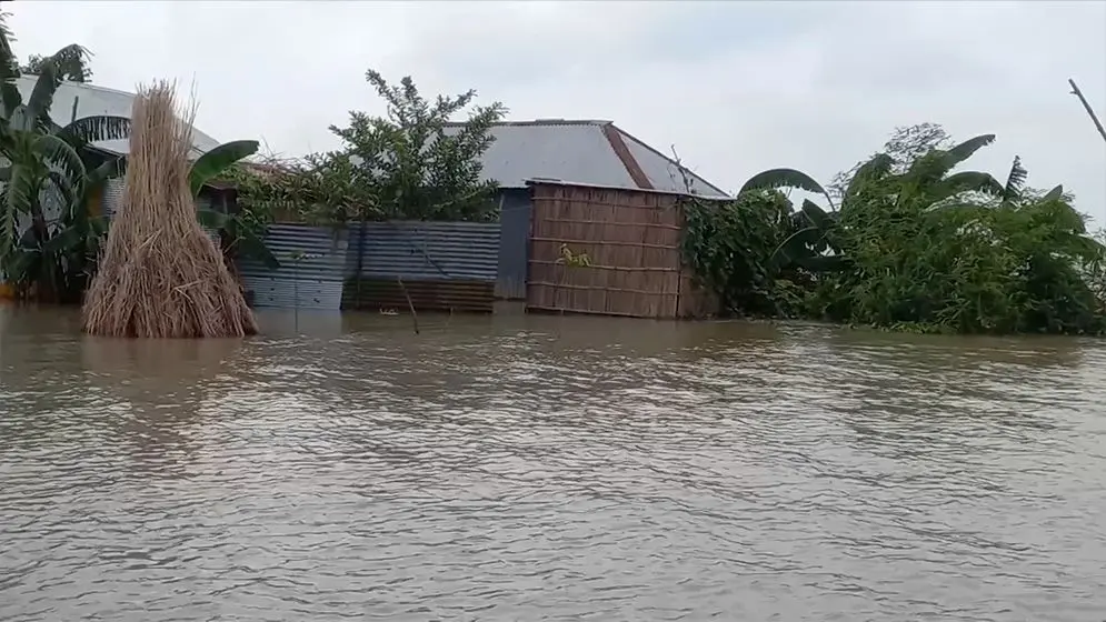 পদ্মার পানিতে ডুবে রাজশাহী-চাঁপাইনবাবগঞ্জ-কুষ্টিয়ার বিস্তীর্ণ এলাকা