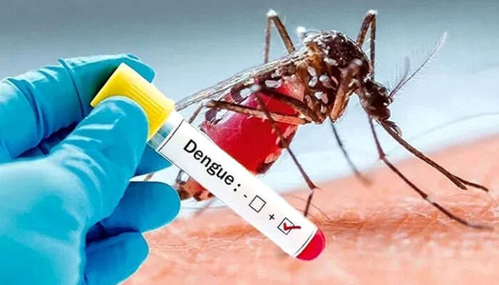 ডেঙ্গুতে আরো ১ জনের মৃত্যু, আক্রান্ত ২৪৯ জন