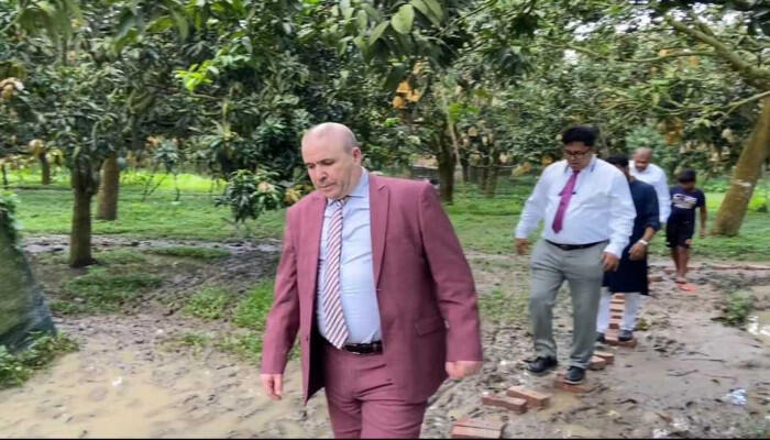 আলজেরিয়ায় আমচাষে আগ্রহ, বাংলাদেশি কৃষকদের জন্য জমি-সুবিধা দেবে দেশটি