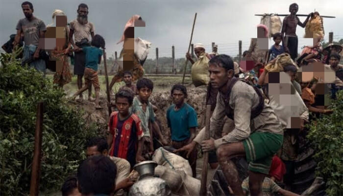 আরাকান আর্মির নির্যাতনে আবারও বাংলাদেশে রোহিঙ্গা পরিবার