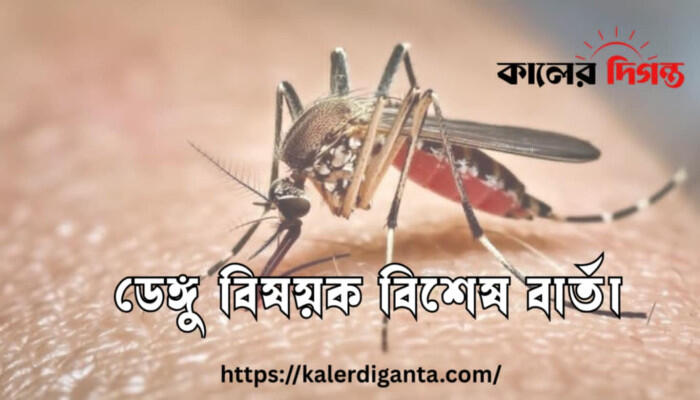 ডেঙ্গুতে আরও ১ জনের মৃত্যু, নতুন শনাক্ত ২০৯