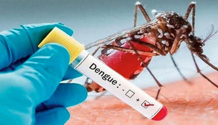 ডেঙ্গুতে নতুন করে আক্রান্ত ৩৪৩ জন