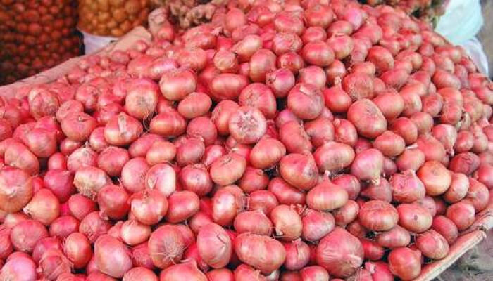 ভোমরা স্থলবন্দর দিয়ে আবারও ভারতীয় পেঁয়াজ আমদানি শুরু