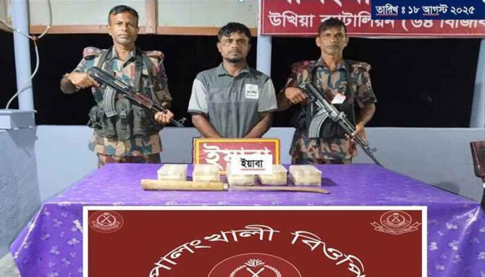 কক্সবাজার সীমান্তে ৫০ হাজার ইয়াবাসহ পাচারকারী আটক