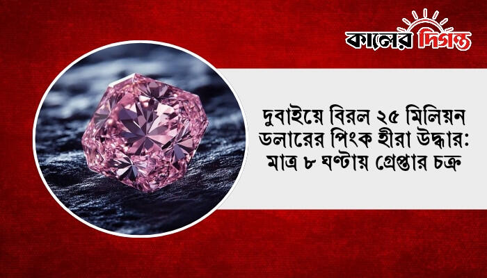 দুবাইয়ে বিরল ২৫ মিলিয়ন ডলারের পিংক হীরা উদ্ধার: মাত্র ৮ ঘণ্টায় গ্রেপ্তার চক্র