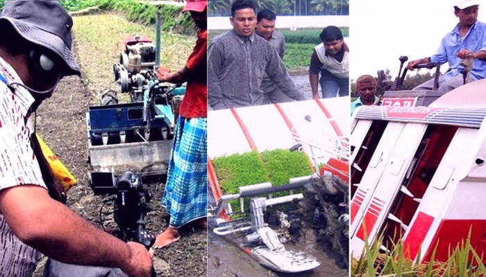 জলবায়ু পরিবর্তনের চ্যালেঞ্জ জয় করে টেকসই কৃষির পথে বাংলাদেশ