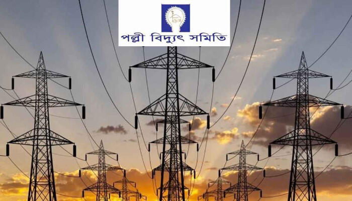 পল্লী বিদ্যুৎ সমিতির গণছুটি স্থগিত: কর্মস্থলে ফিরছেন কর্মকর্তা-কর্মচারীরা