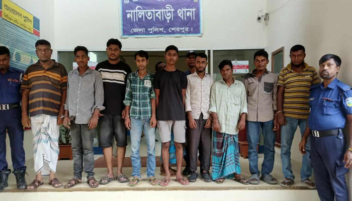 শেরপুরে পিডিবির তার চুরি করতে গিয়ে গ্রেফতার ৯ কর্মকর্তা-কর্মচারী