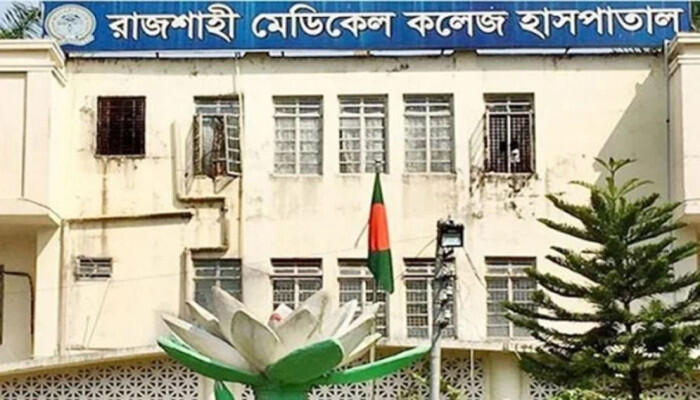 নাটোরে একসঙ্গে পাঁচ সন্তানের জন্ম