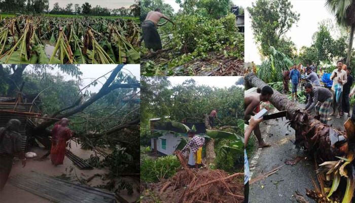 নওগাঁয় ঝড়-বজ্রপাতে ঘরবাড়ি ও ফসলের ক্ষতি, প্রাণহানি