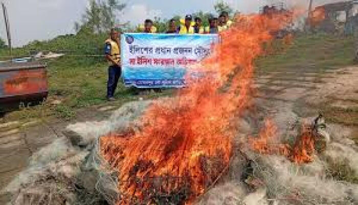 নিষেধাজ্ঞার দুই সপ্তাহে চাঁদপুরে ১৮০ জন জেলে আটক, ইলিশ জব্দ ও জরিমানা কার্যক্রম তীব্র