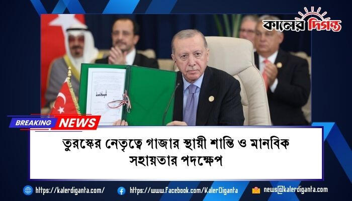 তুরস্কের নেতৃত্বে গাজার স্থায়ী শান্তি ও মানবিক সহায়তার পদক্ষেপ