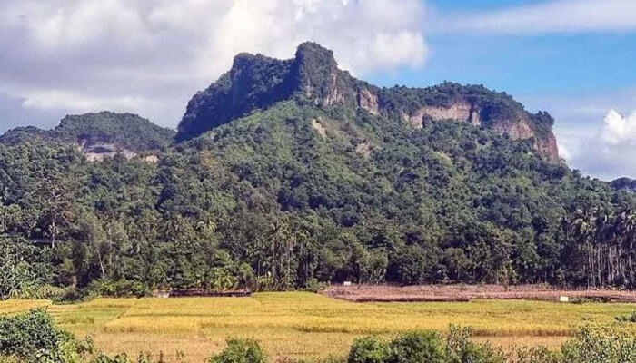 টেকনাফ পাহাড়ে পাচারচক্রের আস্তানায় বিজিবির অভিযান, মুক্ত ছয় জিম্মি