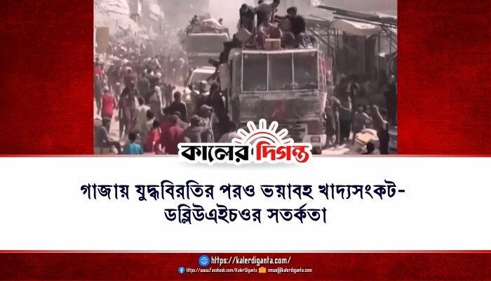 গাজায় যুদ্ধবিরতির পরও ভয়াবহ খাদ্যসংকট: ডব্লিউএইচওর সতর্কতা