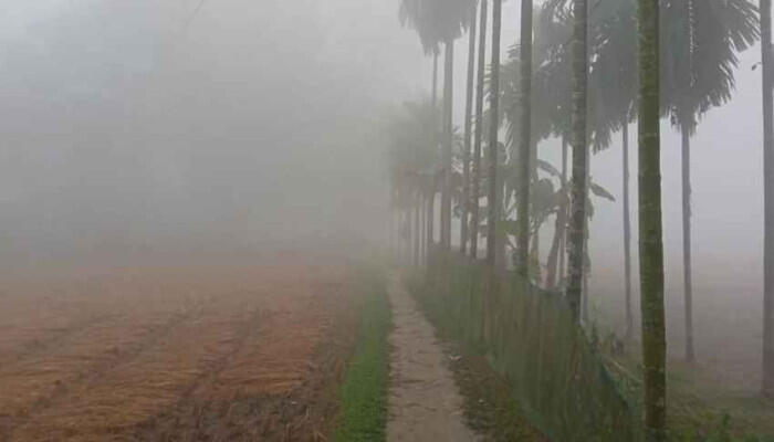 শীতের দাপট বাড়ছে, অধিকাংশ জেলায় রাতের তাপমাত্রা ১৪ ডিগ্রির নিচে