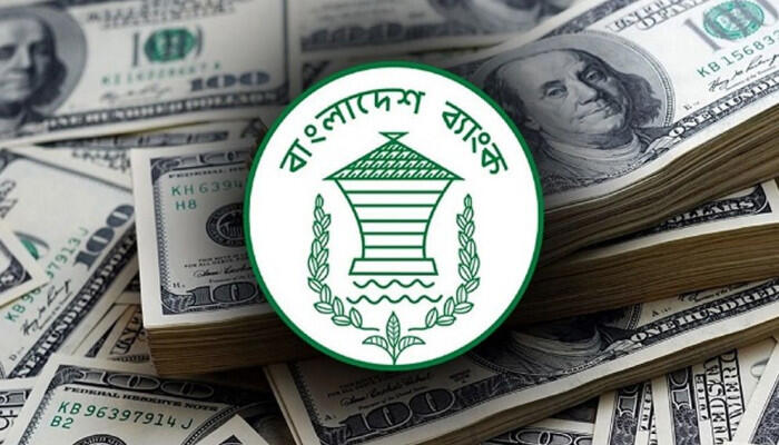 রেমিট্যান্সে নতুন উচ্চতা: ডিসেম্বরে এলো ৩২২ কোটি ডলার, দেশের ইতিহাসে দ্বিতীয় সর্বোচ্চ
