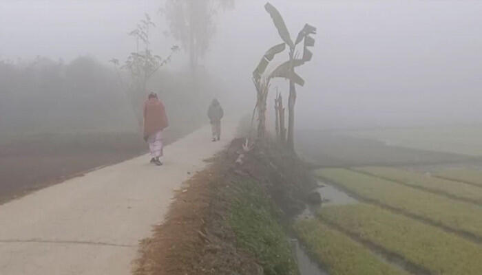 সাত জেলায় মৃদু শৈত্যপ্রবাহ, শীতে কাঁপছে দেশ