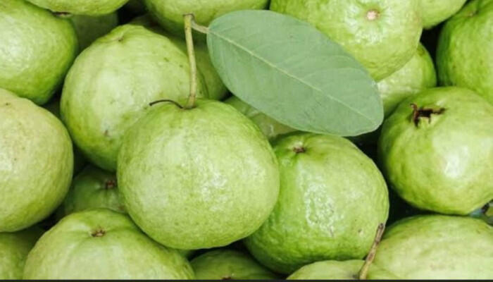 খোসাসহ পেয়ারা খাওয়ার স্বাস্থ্য উপকারিতা