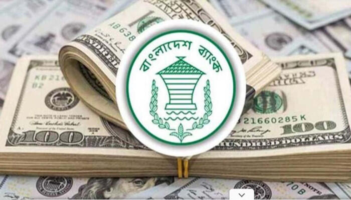 রেকর্ডের পথে রেমিট্যান্স: ৭ মাসে দেশে এলো ১৯ বিলিয়ন ডলারের বেশি