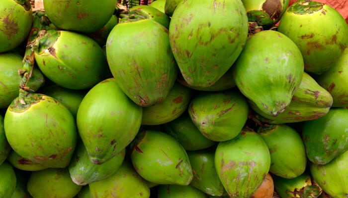 ডাবের পানি: স্বাস্থ্য উপকারিতা ও পুষ্টিগুণ