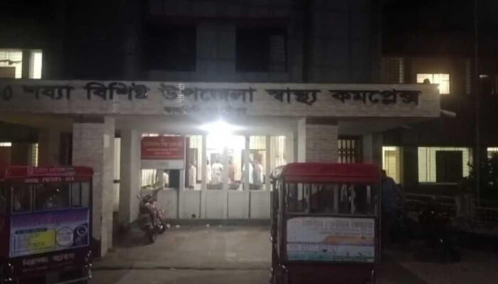মোবাইলে ব্যস্ত চালক, ইজিবাইক খাদে—প্রাণ গেল যাত্রীর